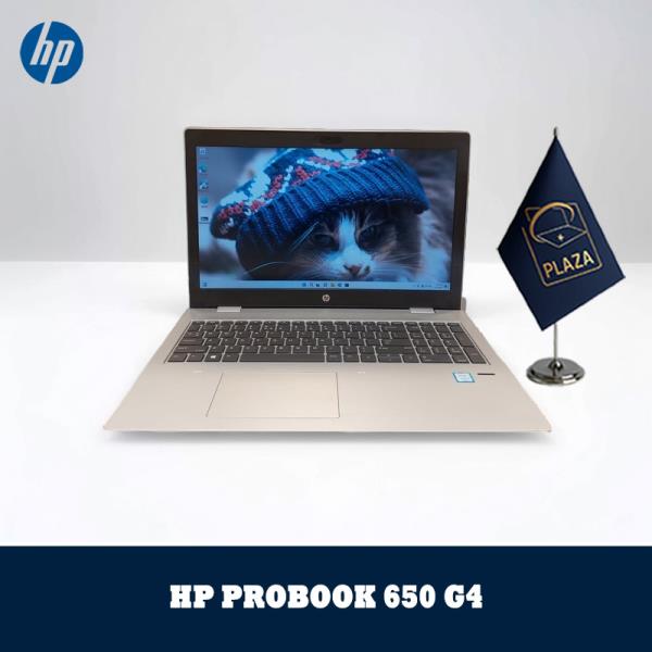 لپ تاپ استوک HP PROBOOK 650 G4-i5(8)-8GB-256 GB SSD